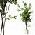 22-Inch Indoor Plant 3D Model 3D model small image 3