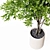 22-Inch Indoor Plant 3D Model 3D model small image 4