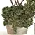 Russian-inspired Indoor Plant Set 3D model small image 3