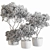 Russian-inspired Indoor Plant Set 3D model small image 5