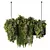 Botanical Bliss Hanging Plants Set 3D model small image 2