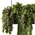 Botanical Bliss Hanging Plants Set 3D model small image 4