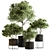 Russian Charm Tree Potted Greenery 3D model small image 1