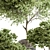 Russian Charm Tree Potted Greenery 3D model small image 5