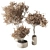 Autumn Indoor Plant Set 22 3D model small image 2