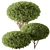 Artificial Topiary Ball Bush Set 3D model small image 1