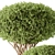 Artificial Topiary Ball Bush Set 3D model small image 3