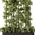 Green Living Wall Divider - Set 3D model small image 3