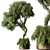 Greenery Haven Tree Pot 728 3D model small image 1