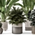  Artisan Stone Pot Indoor Plants 3D model small image 2