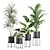 Exotic Indoor Plants Collection 3D model small image 1