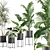 Exotic Indoor Plants Collection 3D model small image 2