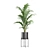 Exotic Indoor Plants Collection 3D model small image 7