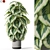 Botanical Bliss Collection 1085 3D model small image 1