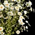 Summer Wildflower Bouquet Set 3D model small image 4