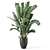 Modern Indoor Plant Black Pot 3D model small image 3