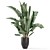 Modern Indoor Plant Black Pot 3D model small image 4