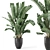 Modern Indoor Plant Black Pot 3D model small image 5