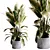 Concrete Indoor Plant Set 495 3D model small image 2