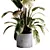 Concrete Indoor Plant Set 495 3D model small image 4