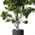Modern Indoor Plant Collection 3D model small image 2