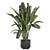 Black Pot Indoor Plant Set 3D model small image 3