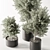 Olive Tree Indoor Plant 730 3D model small image 2