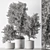 Olive Tree Indoor Plant 730 3D model small image 5