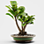 PBR Indoor Plant Decoration Item 3D model small image 1