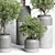 Concrete Vase Plant Set 491 3D model small image 6