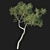 Eucalyptus Tree 3D Model Kit 3D model small image 1