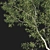 Eucalyptus Tree 3D Model Kit 3D model small image 3