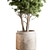 Elegant Tree in Pot 729 3D model small image 2