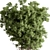 Elegant Tree in Pot 729 3D model small image 3