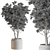 Elegant Tree in Pot 729 3D model small image 4