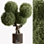 Topiary Ball Outdoor Plant 3D model small image 1