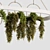 Botanical Charm: Hanging Plants Collection 3D model small image 2