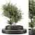 Bush & Tree Garden Set 3D model small image 1