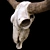 Vintage Longhorn Skull Decor Model 3D model small image 3