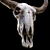 Vintage Longhorn Skull Decor Model 3D model small image 4