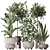 Exotic Indoor Plant Set Bundle 3D model small image 1