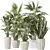 Tropical Indoor Plant Set 3D 3D model small image 1