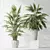 Tropical Indoor Plant Set 3D 3D model small image 3