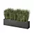 Lush Outdoor Grass Plant Set 3D model small image 1