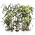 High-Quality Plants Bouquet Set 3D model small image 1