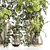 High-Quality Plants Bouquet Set 3D model small image 2