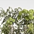 High-Quality Plants Bouquet Set 3D model small image 4