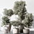 Green Oasis Tree Pot Display 3D model small image 1