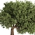 Elegant Olive Tree Set 16 3D model small image 3