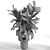 Russian Rubber Plant Showcase 3D model small image 2